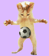 Animated gif of kitten playing with soccer ball